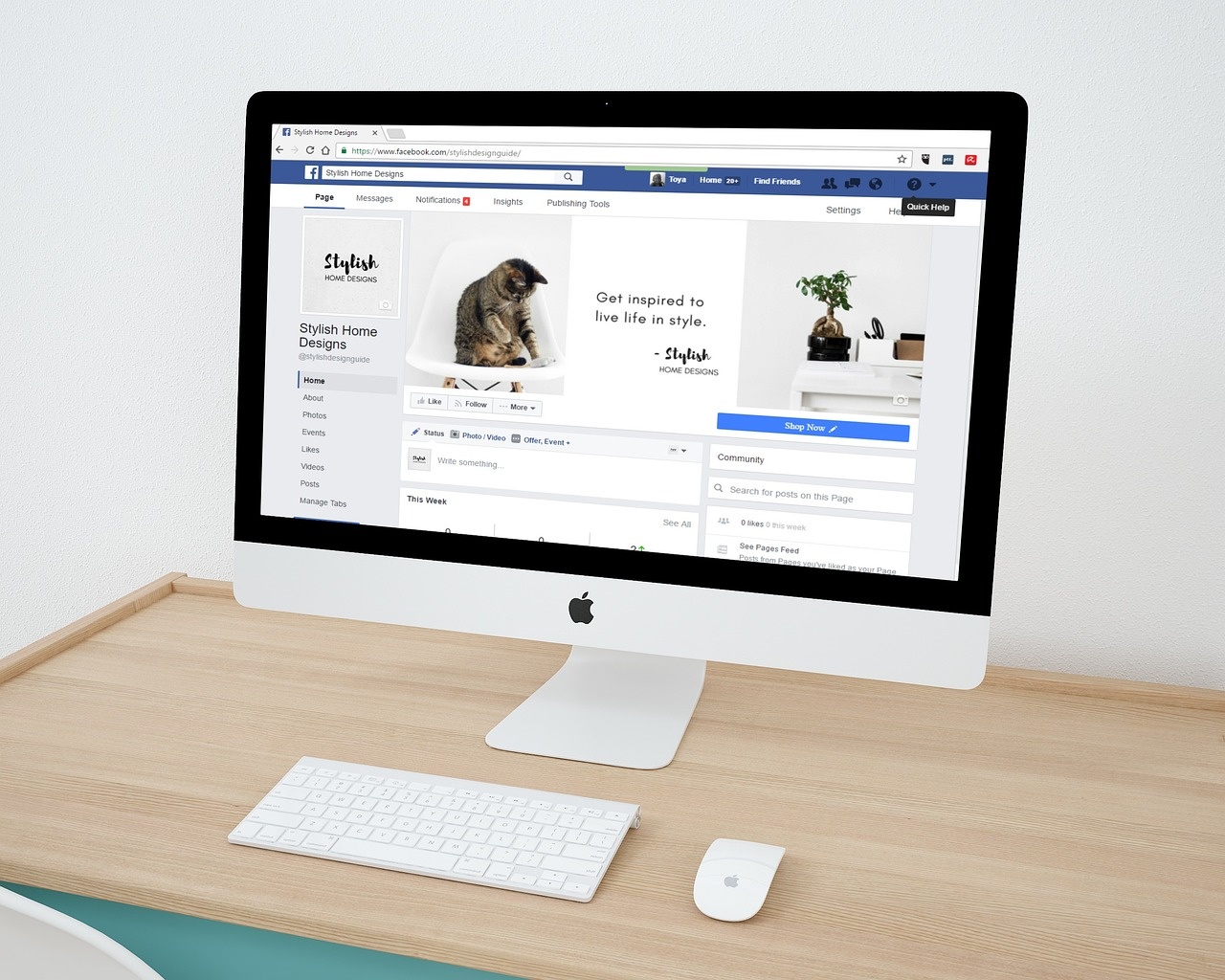 Meta Ads und Facebook Business Page Management